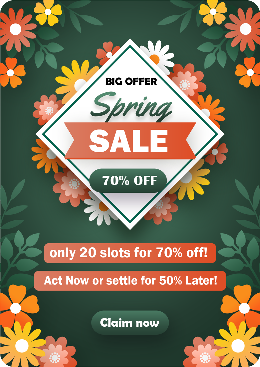 Spring Sale 70%