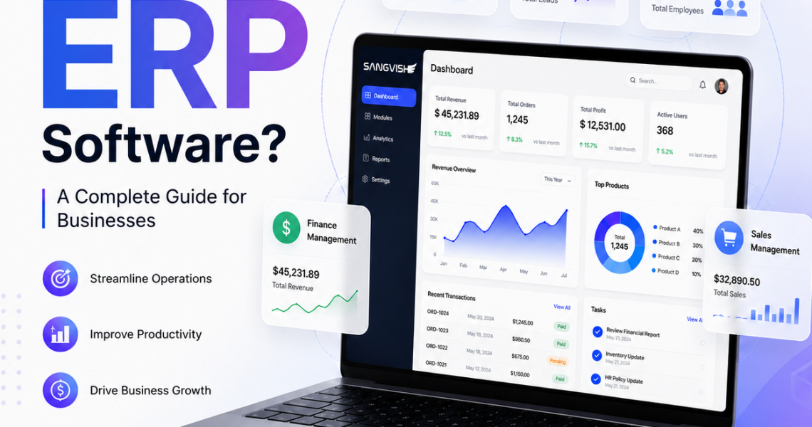 ERP software