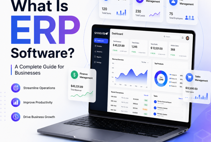 ERP software